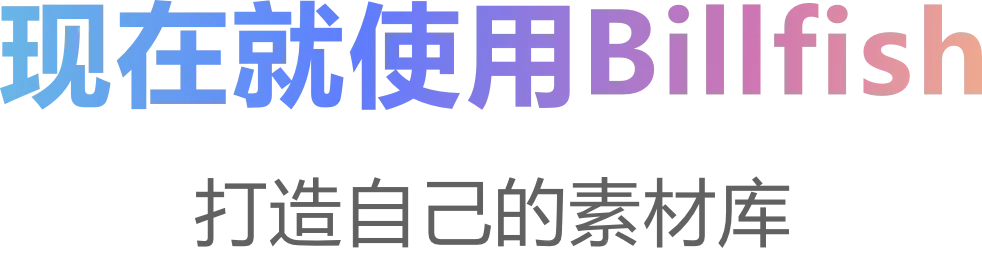 现在就使用billfish